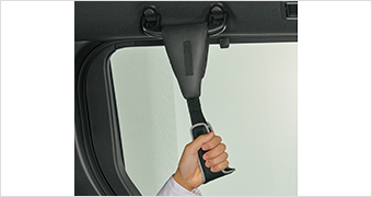 Assist grip